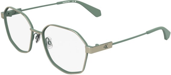 Calvin Klein CKJ26224 glasses in Gold/Light Green