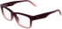 Calvin Klein CKJ26610 glasses in Transparent Gradient Wine/Rose