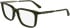 Calvin Klein CK25517 glasses in Transparent Khaki
