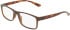 Calvin Klein CK19569N glasses in Transparent Brown