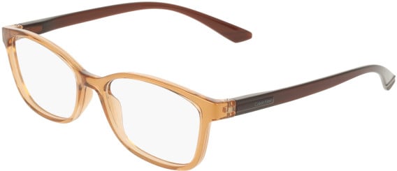 Calvin Klein CK23525N glasses in Transparent Beige
