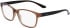 Calvin Klein CK23528N glasses in Brown