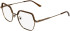 Calvin Klein CK25113 glasses in Amber Gold