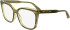 Calvin Klein CK25511 glasses in Striped Khaki