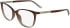Calvin Klein CK25512 glasses in Transparent Brown/Rose