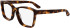 Calvin Klein CK25516 glasses in Havana