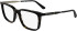Calvin Klein CK25517 glasses in Dark Havana