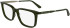 Calvin Klein CK25517 glasses in Transparent Khaki