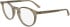 Calvin Klein CK25518 glasses in Transparent Beige