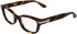Calvin Klein CK25541 glasses in Havana