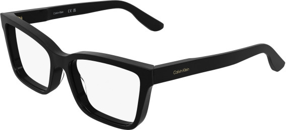 Calvin Klein CK25543 glasses in Black