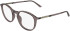 Calvin Klein CK26511 glasses in Transparent Taupe