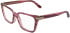 Calvin Klein CK26515 glasses in Transparent Striped Burgundy