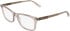 Calvin Klein CK26516-53 glasses in Transparent Nude
