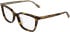 Calvin Klein CK26536 glasses in Havana