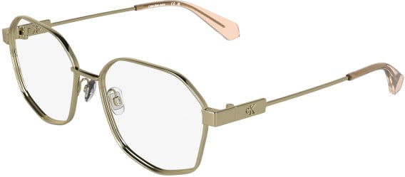 Calvin Klein CKJ26224 glasses in Gold