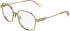 Calvin Klein CKJ26224 glasses in Gold