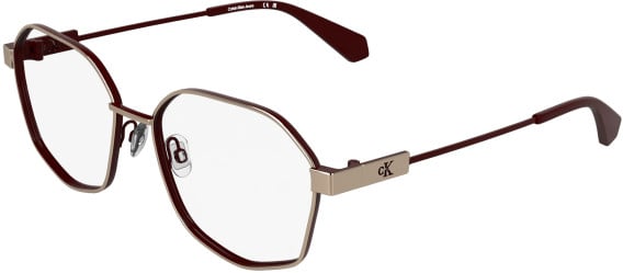 Calvin Klein CKJ26224 glasses in Rose Gold/Wine