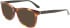 Calvin Klein CK22507 sunglasses in Brown Havana