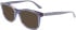 Calvin Klein CK22507 sunglasses in Blue Horn