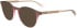 Calvin Klein CK23549 sunglasses in Brown/Pink/Rose