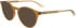Calvin Klein CK23549 sunglasses in Sand