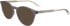 Calvin Klein CK23549 sunglasses in Grey