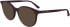 Calvin Klein CK24543 sunglasses in Violet