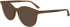 Calvin Klein CK24543 sunglasses in Light Brown