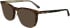 Calvin Klein CK24519 sunglasses in Havana
