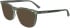 Calvin Klein CK24519 sunglasses in Green