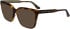 Calvin Klein CK24541 sunglasses in Havana