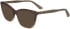 Calvin Klein CK23545 sunglasses in Dark Brown/Brown/Caramel