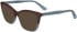 Calvin Klein CK23545 sunglasses in Brown/Grey/Avio