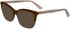 Calvin Klein CK23545 sunglasses in Striped Brown/Grey/Rose