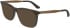 Calvin Klein CK23547 sunglasses in Tortoise