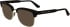Calvin Klein CK24103 sunglasses in Dark Havana