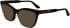 Calvin Klein CK24517 sunglasses in Havana Brown