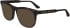 Calvin Klein CK24515 sunglasses in Havana
