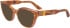 Calvin Klein CK23541 sunglasses in Caramel Havana