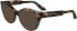 Calvin Klein CK23541 sunglasses in Blue Havana