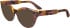 Calvin Klein CK23541 sunglasses in Rose Havana