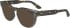 Calvin Klein CK23542 sunglasses in Brown Blue Havana