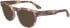 Calvin Klein CK23542 sunglasses in Nude Havana