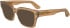 Calvin Klein CK24526 sunglasses in Light Brown