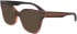 Calvin Klein CK23543 sunglasses in Striped Brown