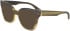 Calvin Klein CK23543 sunglasses in Striped Khaki