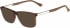 Calvin Klein CK5864 sunglasses in Espresso