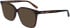 Calvin Klein CK22540-53 sunglasses in Dark Tortoise