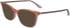 Calvin Klein CK23544-50 sunglasses in Transparent Orange/Pink/Nude